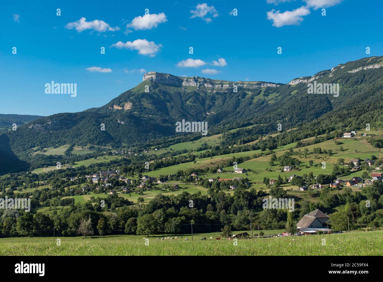 France, Savoie, massif and regional natural park of the Bauges, the village of Thoiry and the cliffs of Mount Margeriaz Stock Photo