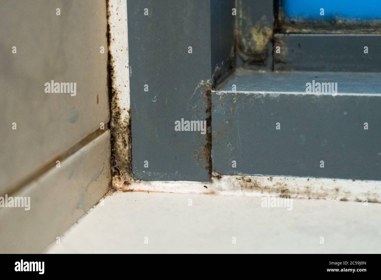Old plastic window frame in the shower. Moldy angle, fungus. Problem