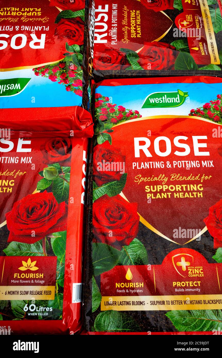 A stack of bags of Westland Rose Planting and potting mix in a garden