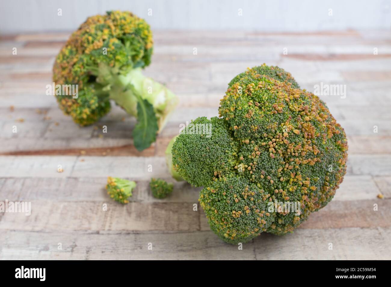 Yellowing calabrese broccoli Stock Photo Alamy