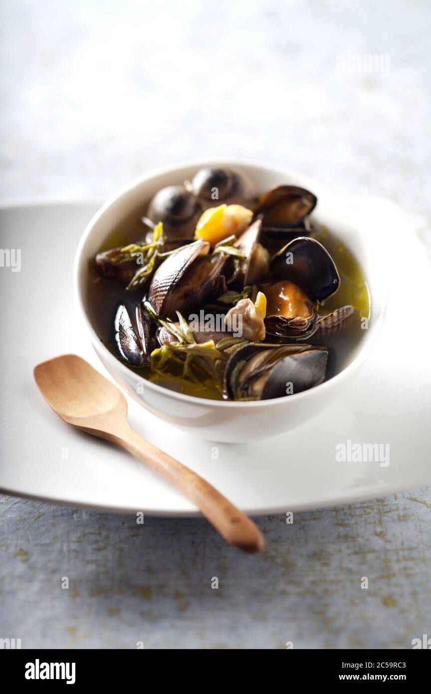 Shellfish broth with green tea and olive oil Stock Photo