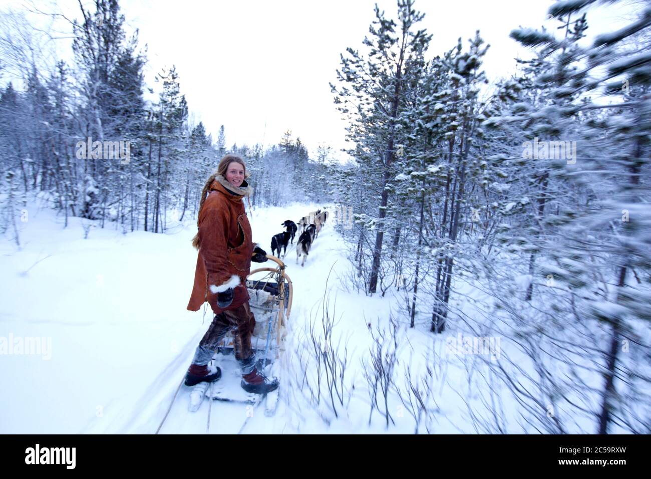 Norway, Lapland, County of Troms og Finnmark, Karasjok, dog sledding with kristelle the chef of the Engholm-husky Stock Photo