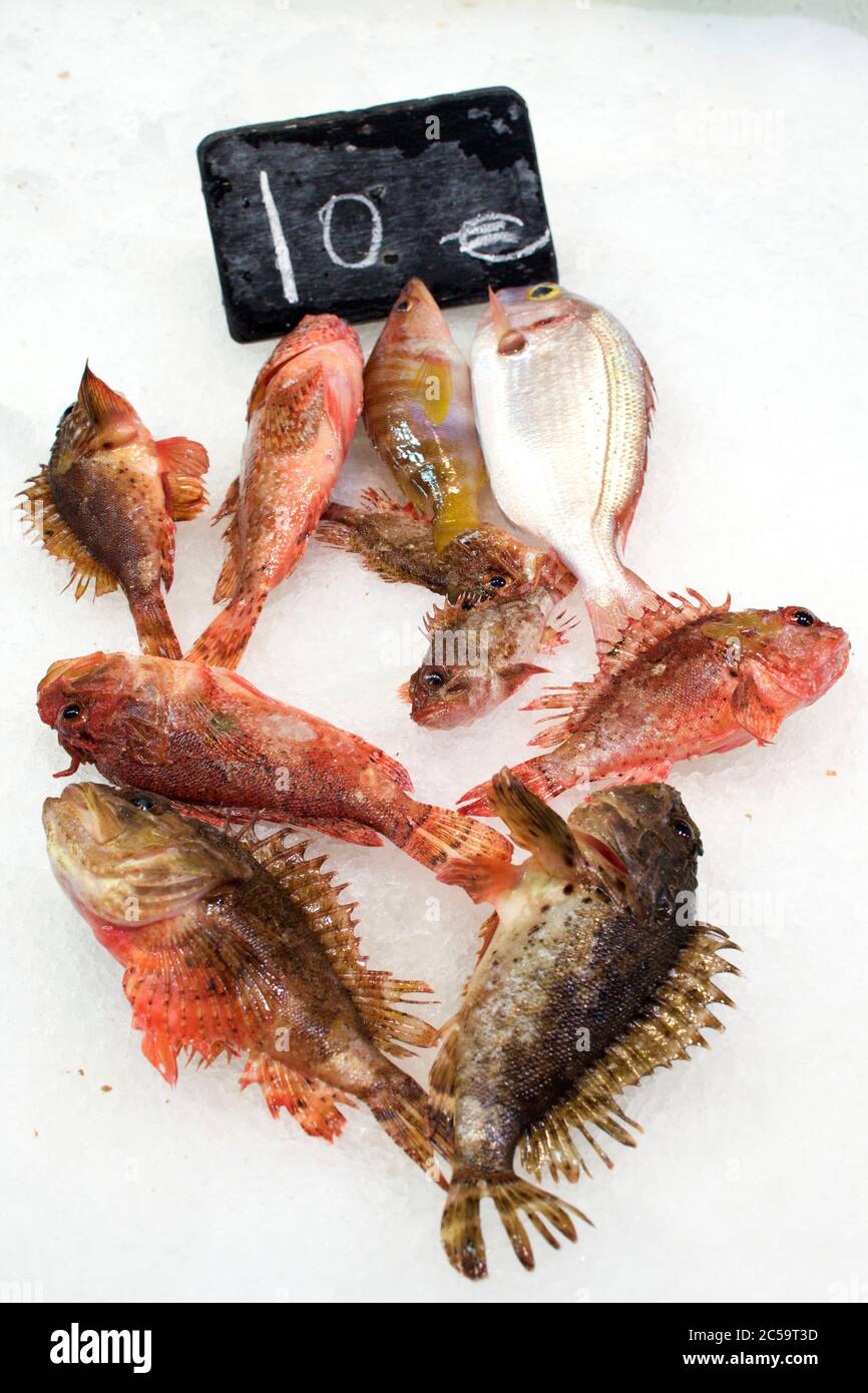 Spain, The Balearic Islands, Majorca Island, city of Palma the El Olivar market fish display Stock Photo