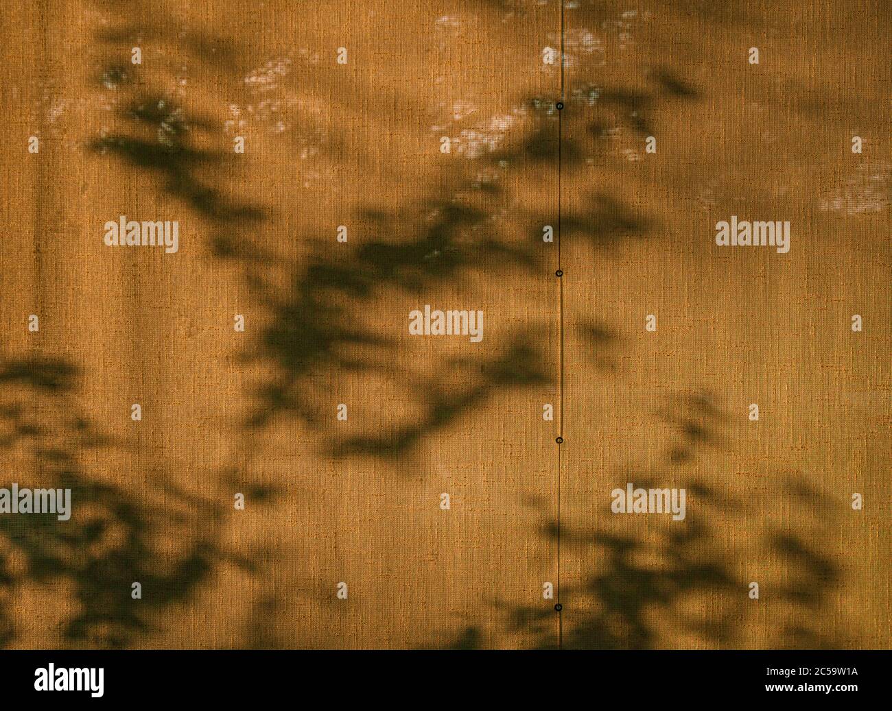 tree shadows on window curtains at sunrise Stock Photo