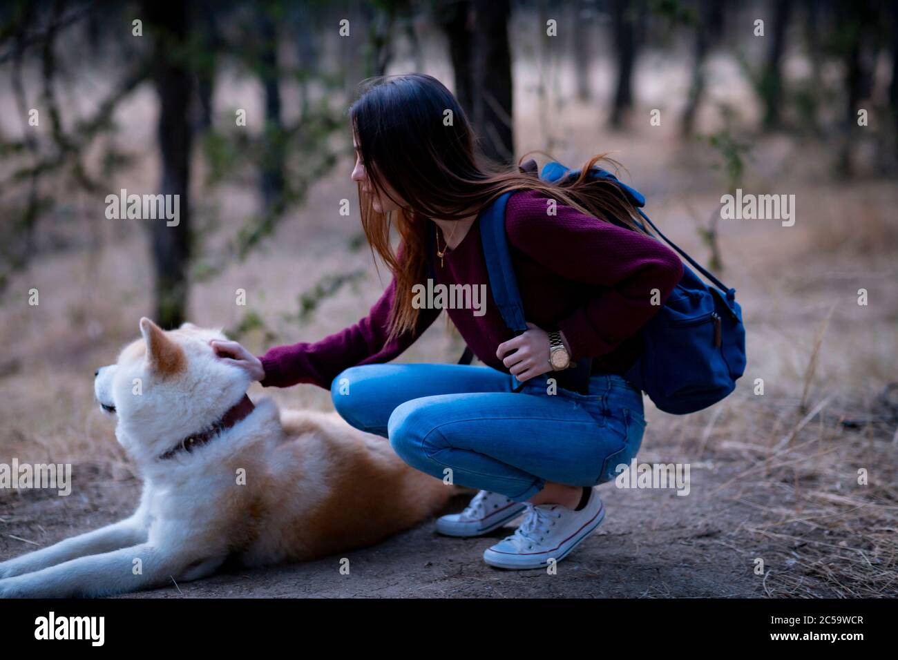 young girl in the forest with her dog Stock Photo - Alamy