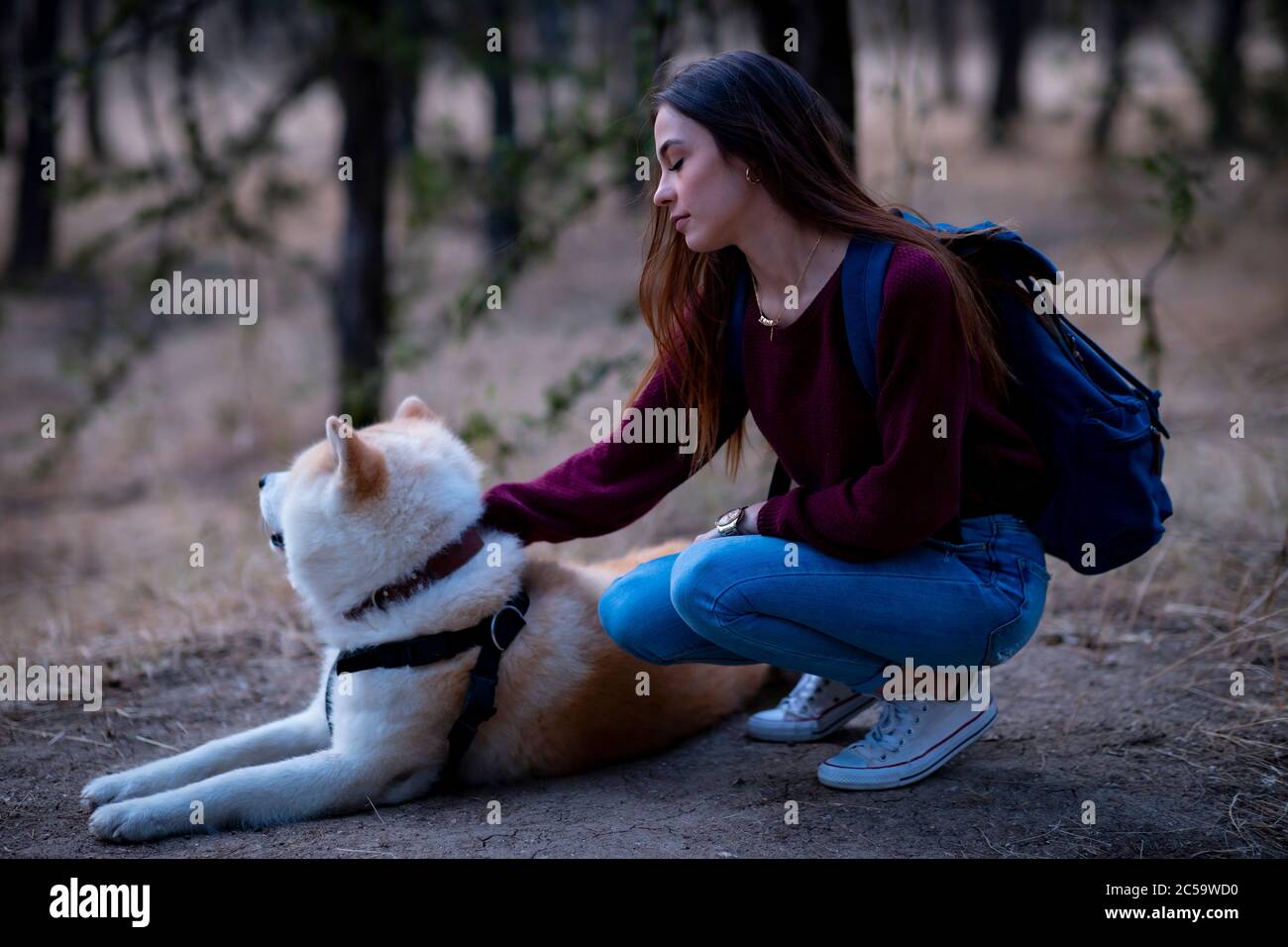 young girl in the forest with her dog Stock Photo - Alamy