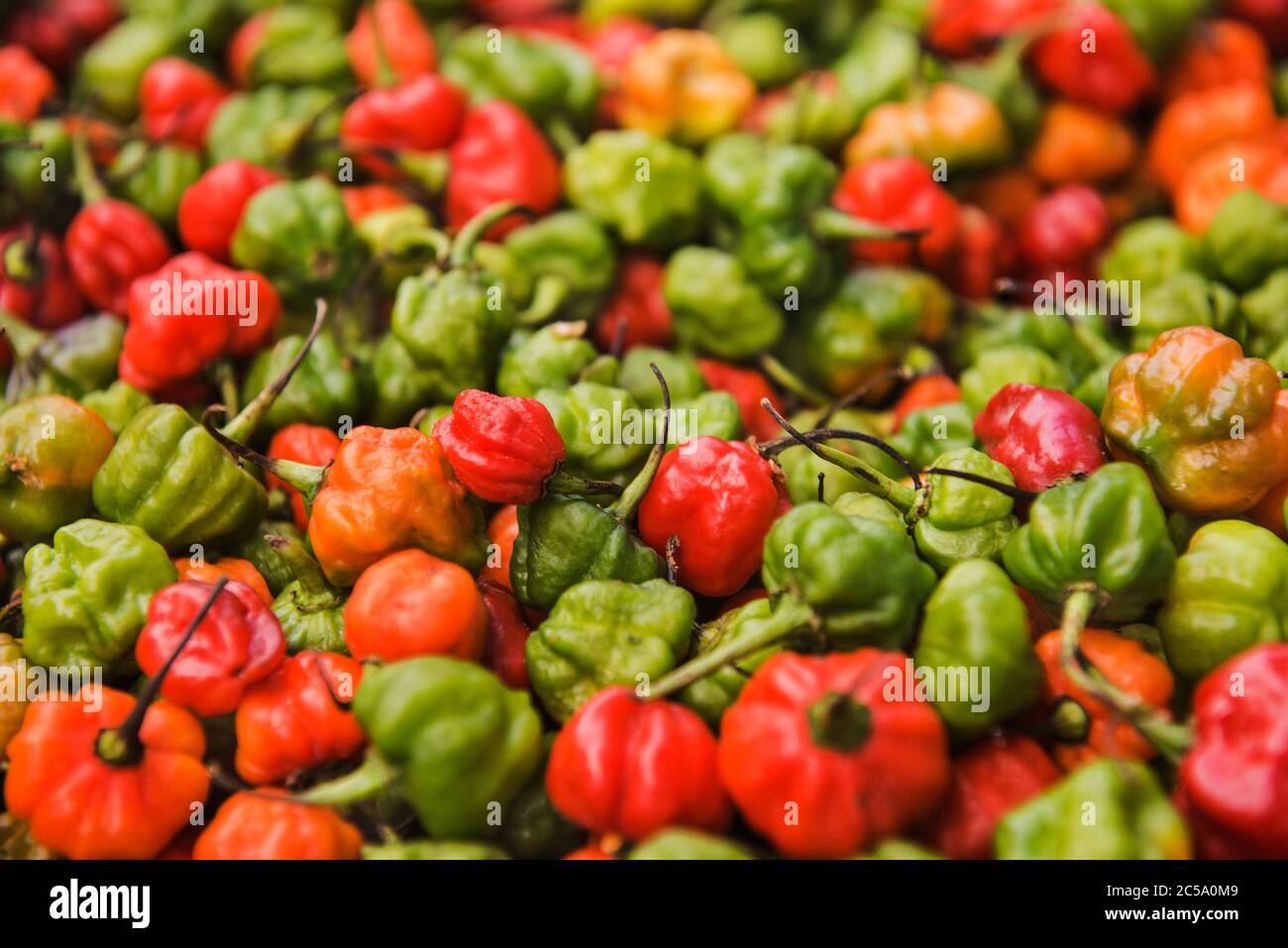 multicolored Habanero peppers for sale at a market, Havana, Cuba