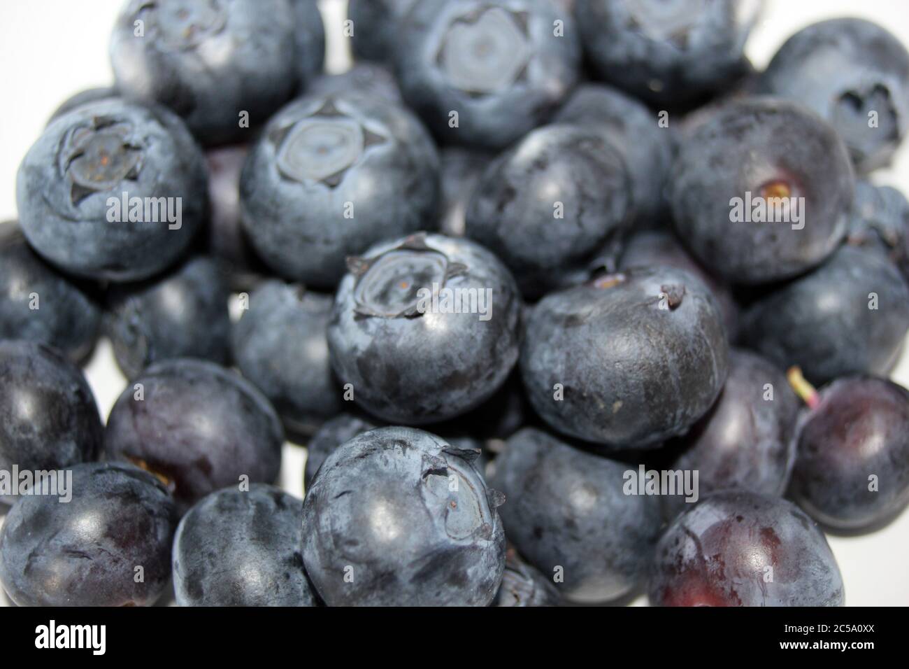 blueberry pile of blueberries fruit background with copy space healthy