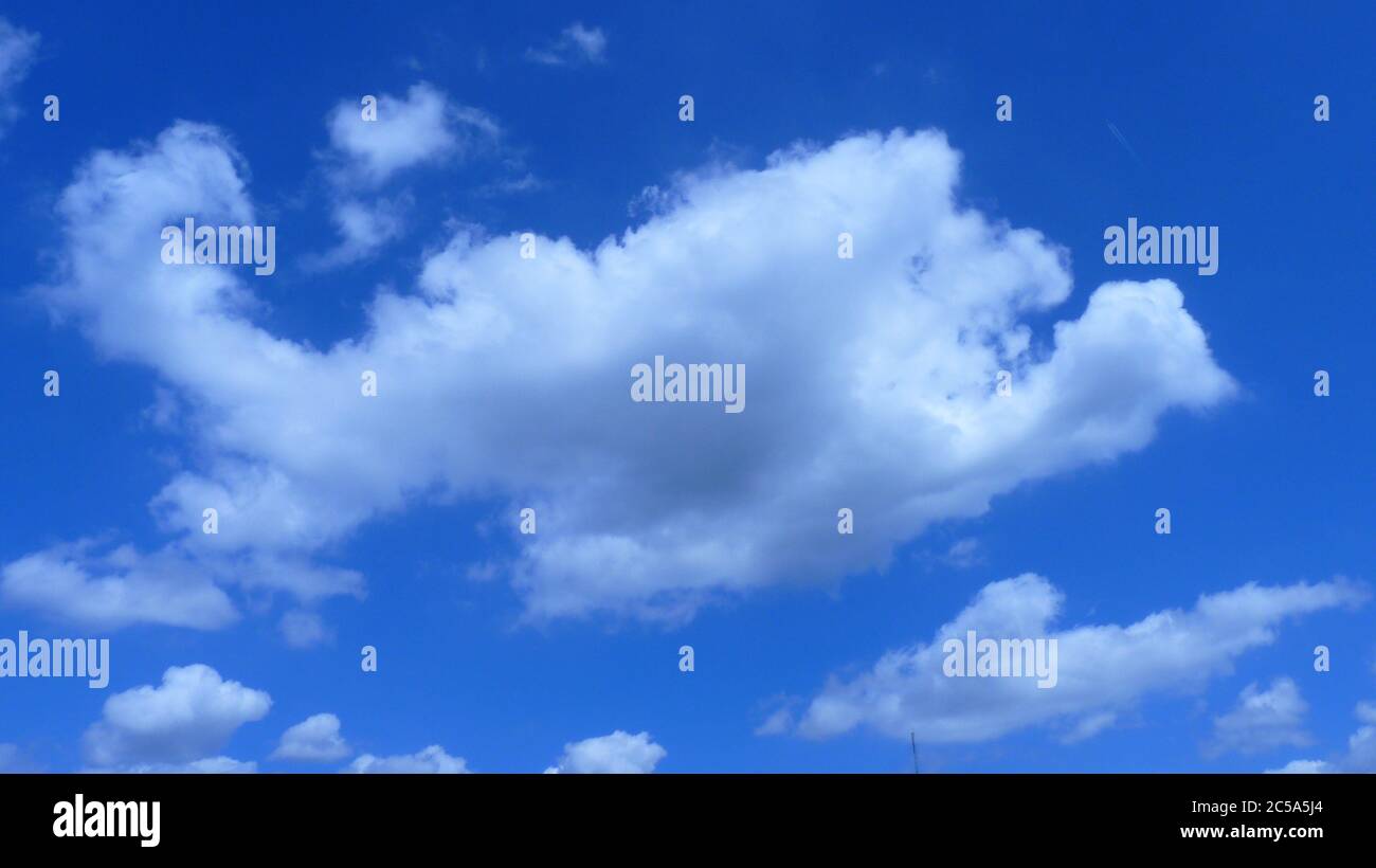 Low angle shot of fluffy clouds in the blue sky under the sunlight ...