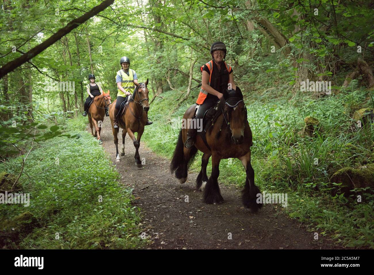 Horse riders riding the bridle path in Benthall Woods in Shropshire, England, Uk Stock Photo