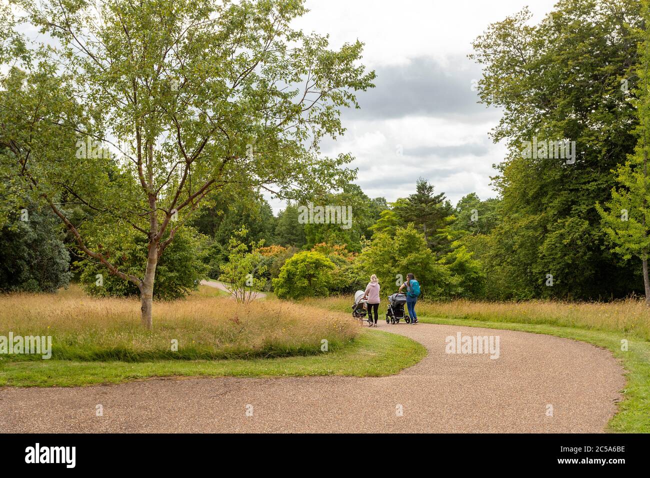 Winding path through woodland hi-res stock photography and images - Alamy