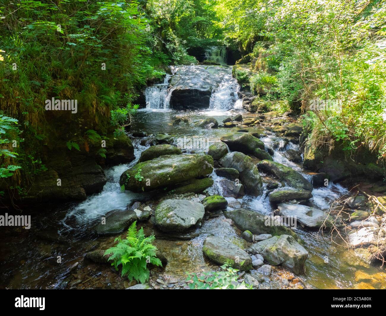 The most photographed view at Watersmeet, Waterfalls on the Hoar Oak Water river at Watersmeet, near Lynton, Exmoor, Devon, UK Stock Photo