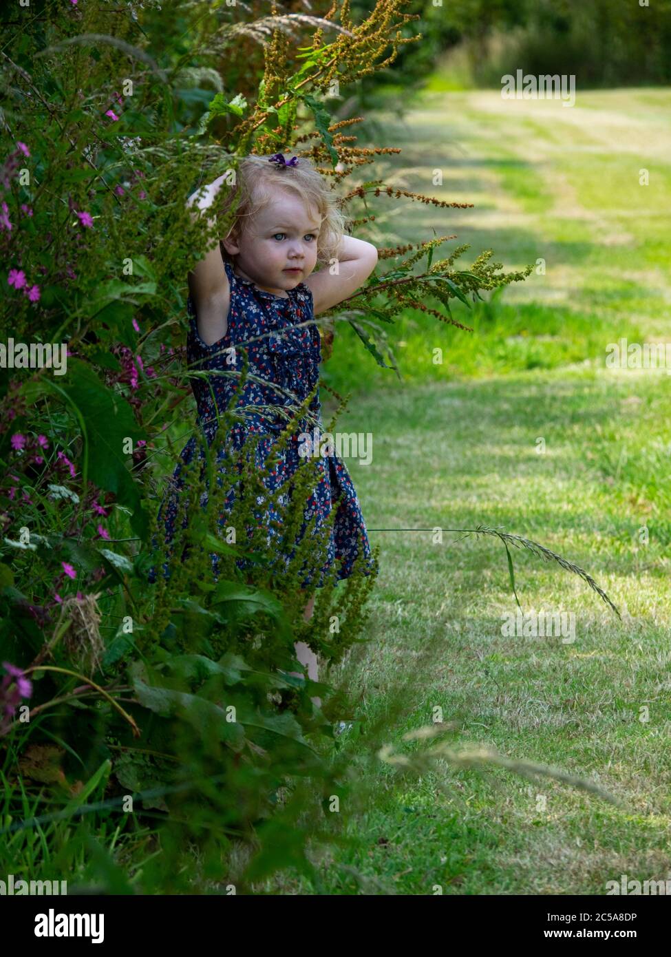 Toddler playing hide and seek, UK Stock Photo