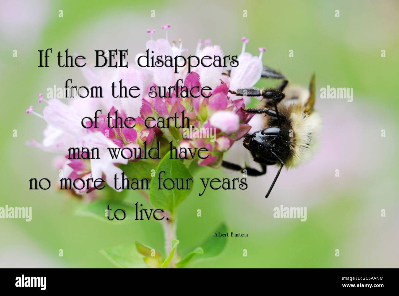 inspirational-quote-with-words-to-live-by-stock-photo-alamy