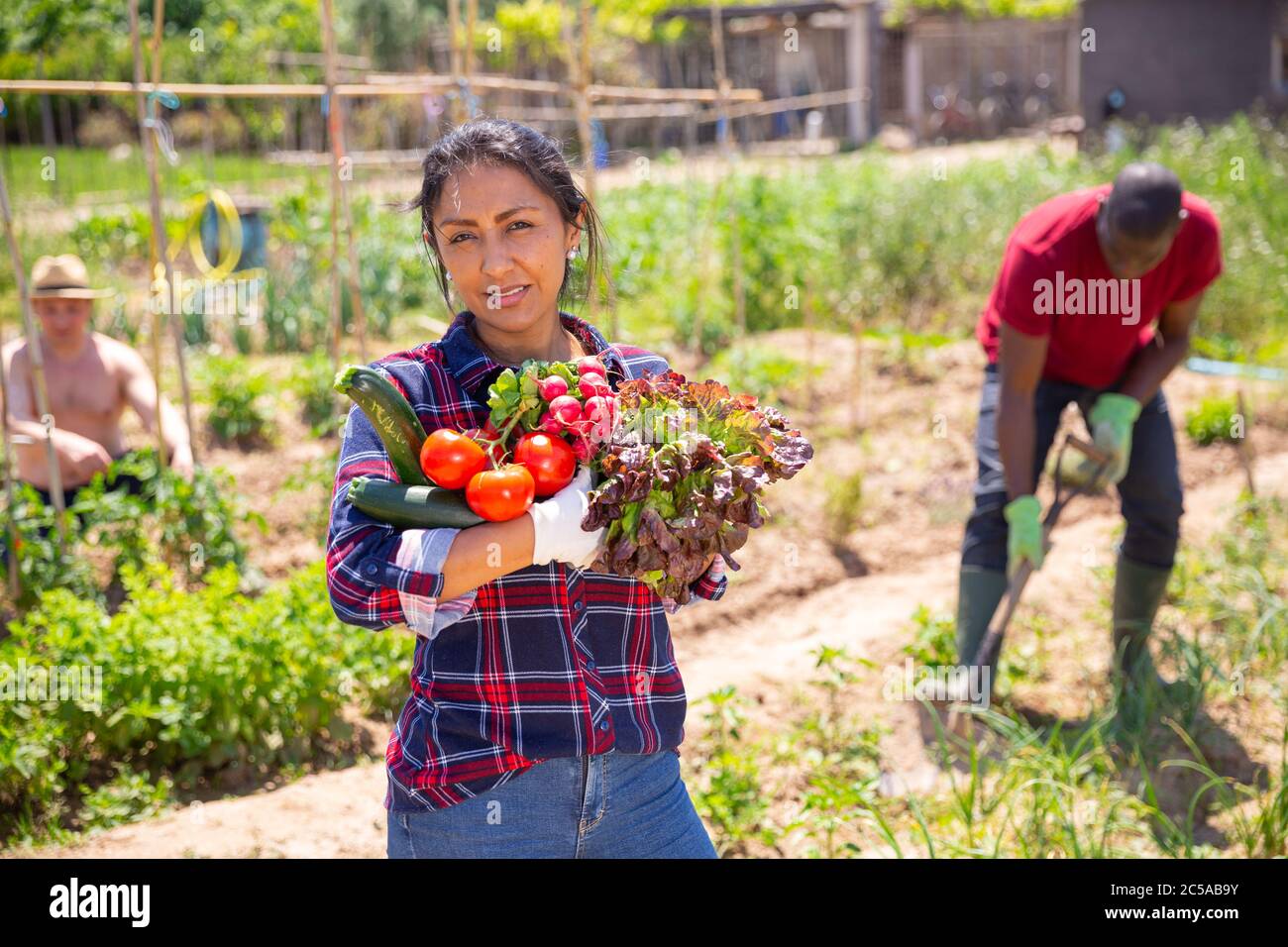 Young woman gardener holding basket with harvest of fresh vegetables in ...