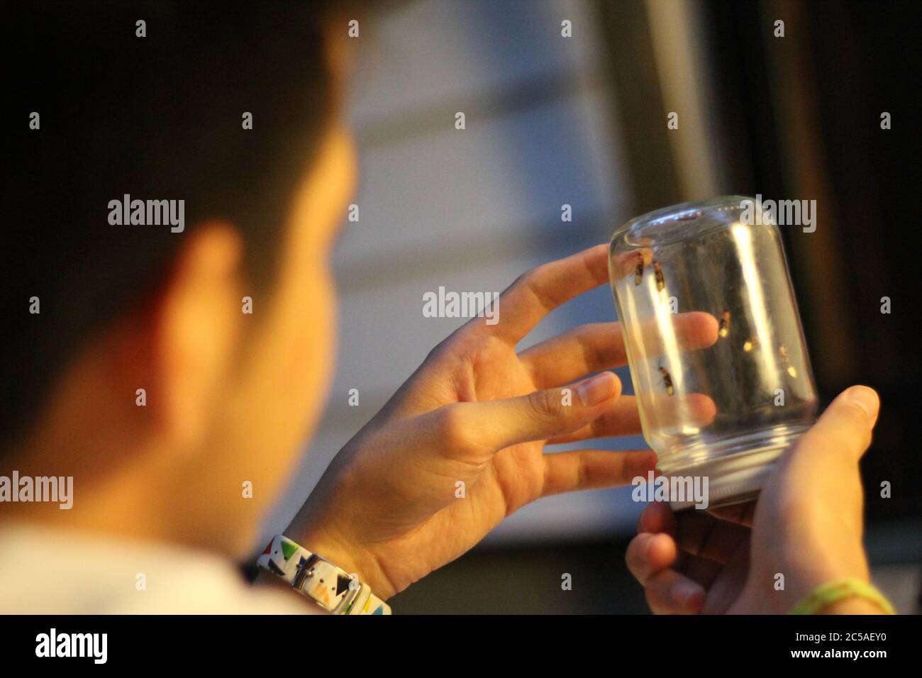 Fireflies caught in a jar Stock Photo Alamy