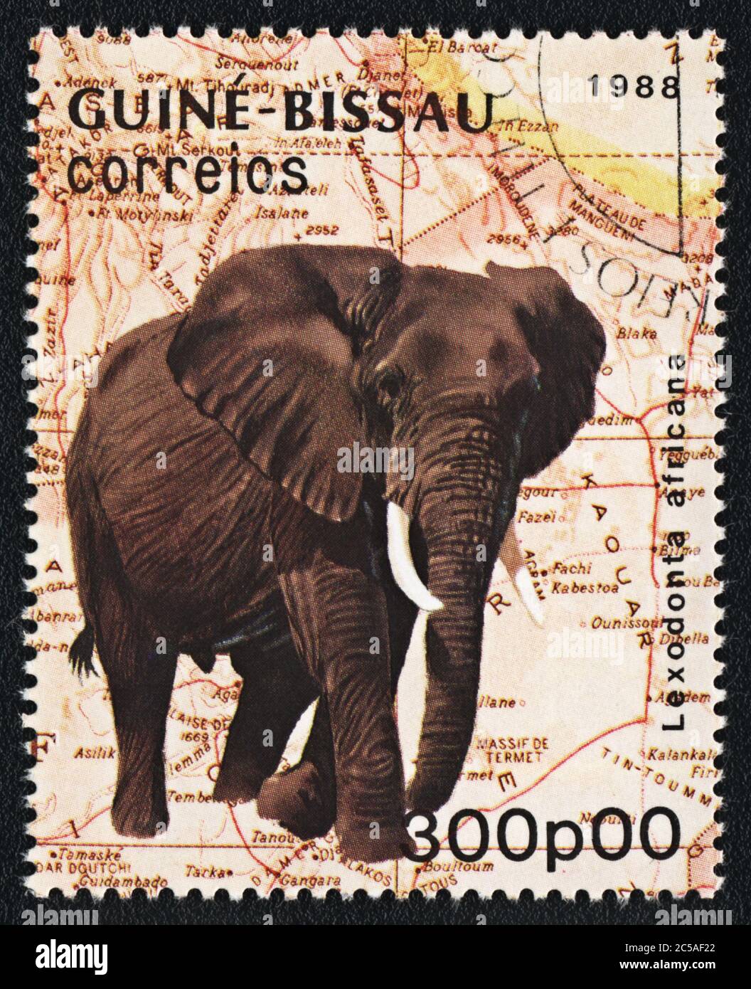 Postage stamp. Elephant  Lexodonta Africana and the map of Africa,  Guinea Bissau , 1988 Stock Photo