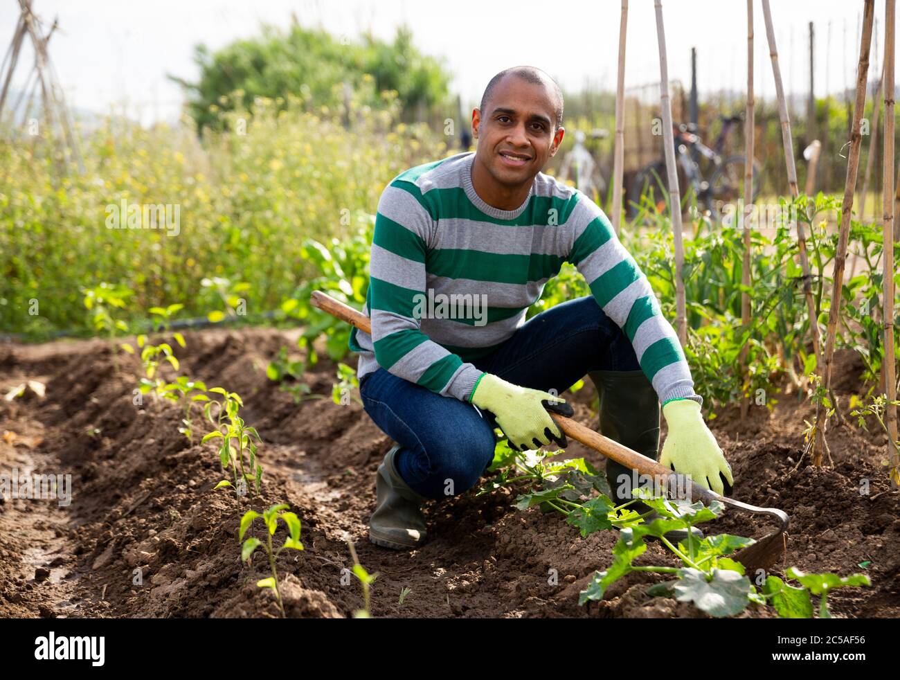 Indian man  professional horticulturist with garden mattock at  land in  garden Stock Photo