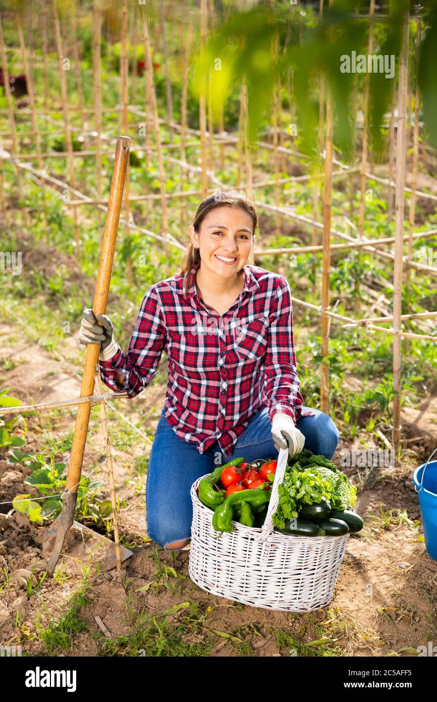 Young woman gardner holding basket with harvest of fresh vegetables ...