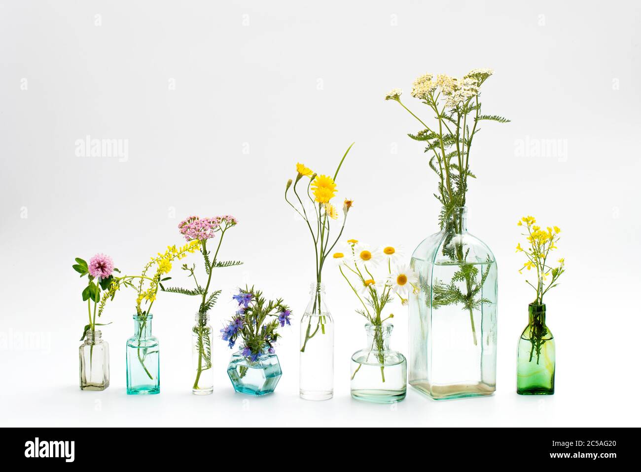Wild field herbs in bottles of different shapes on a white-gray background as a decoration. Card Stock Photo