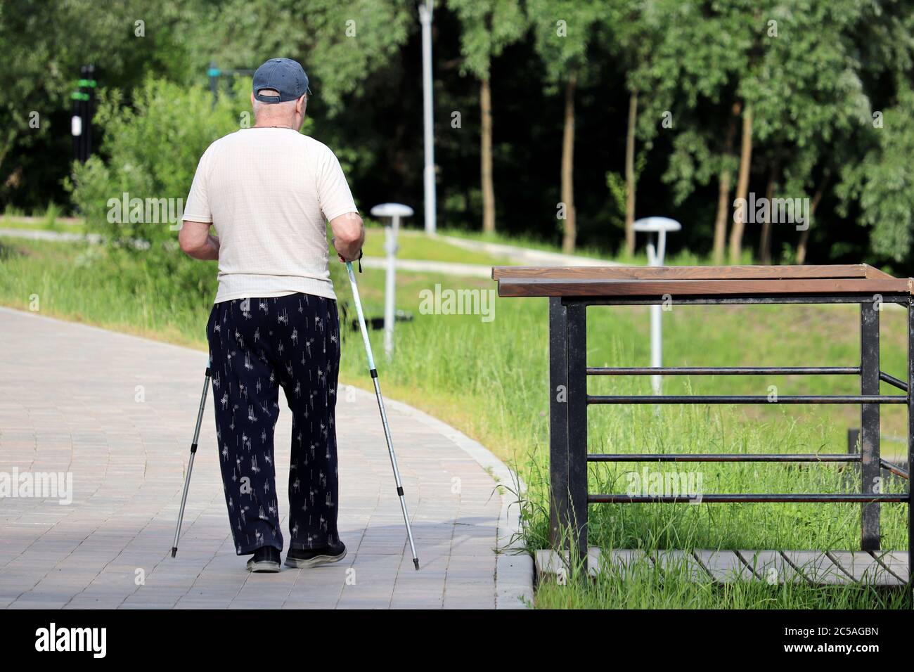 Nordic walking, elderly man walk with sticks in a summer park. Sports exercises for healthy spine and joints at spring, therapy for health Stock Photo