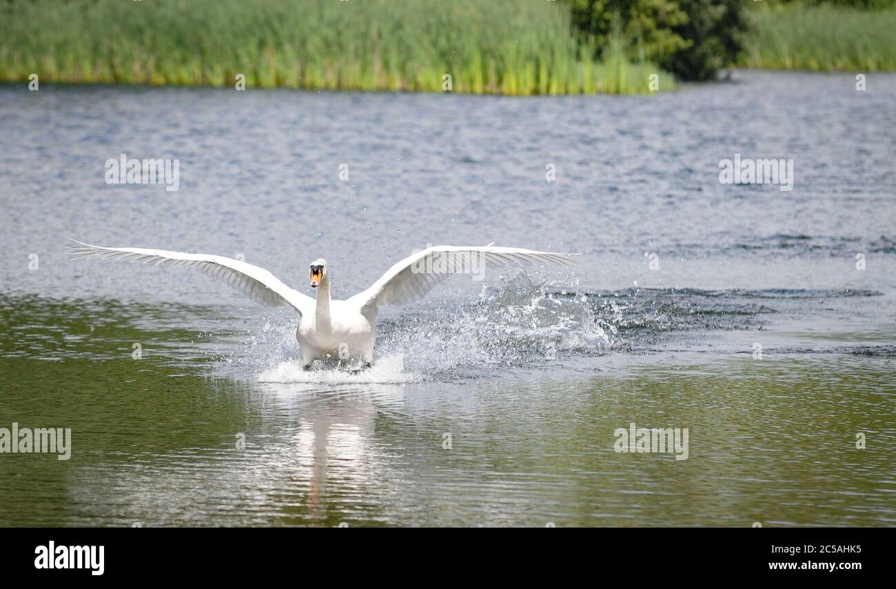 Straiton Straiton High Resolution Stock Photography and Images - Alamy
