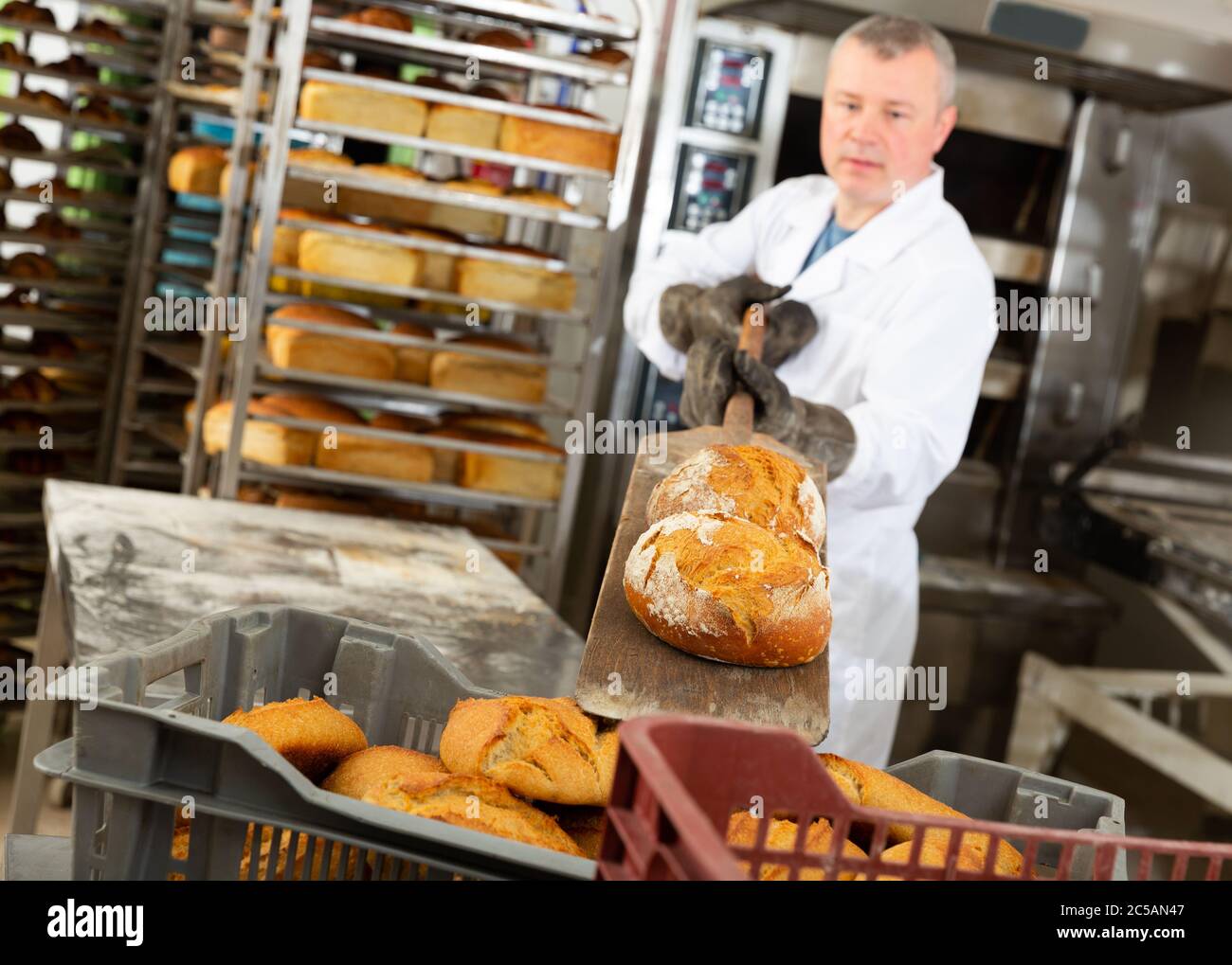 Professional baker taking out freshly baked hot bread from oven in small bakery Stock Photo