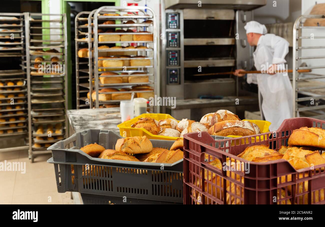 Closeup of plastic box with fresh loaves of bread on work table in bakery Stock Photo