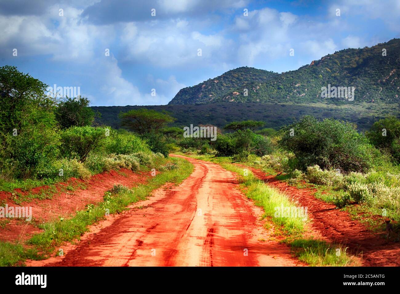 Park Tsavo East National in Kenya Stock Photo