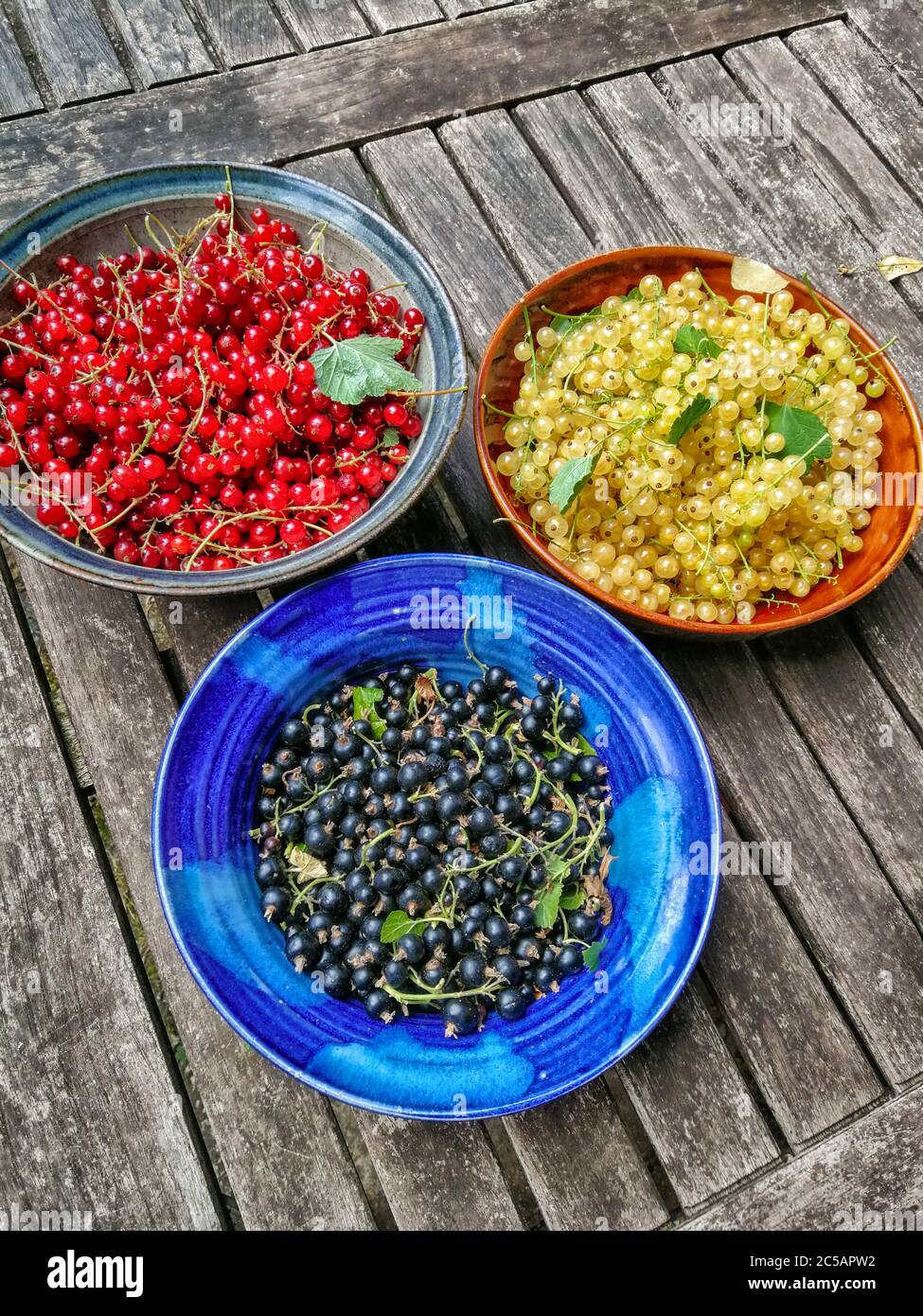 Blackcurrant, Redcurrant and yellow currant from a garden harvest on a old wooden table Stock Photo