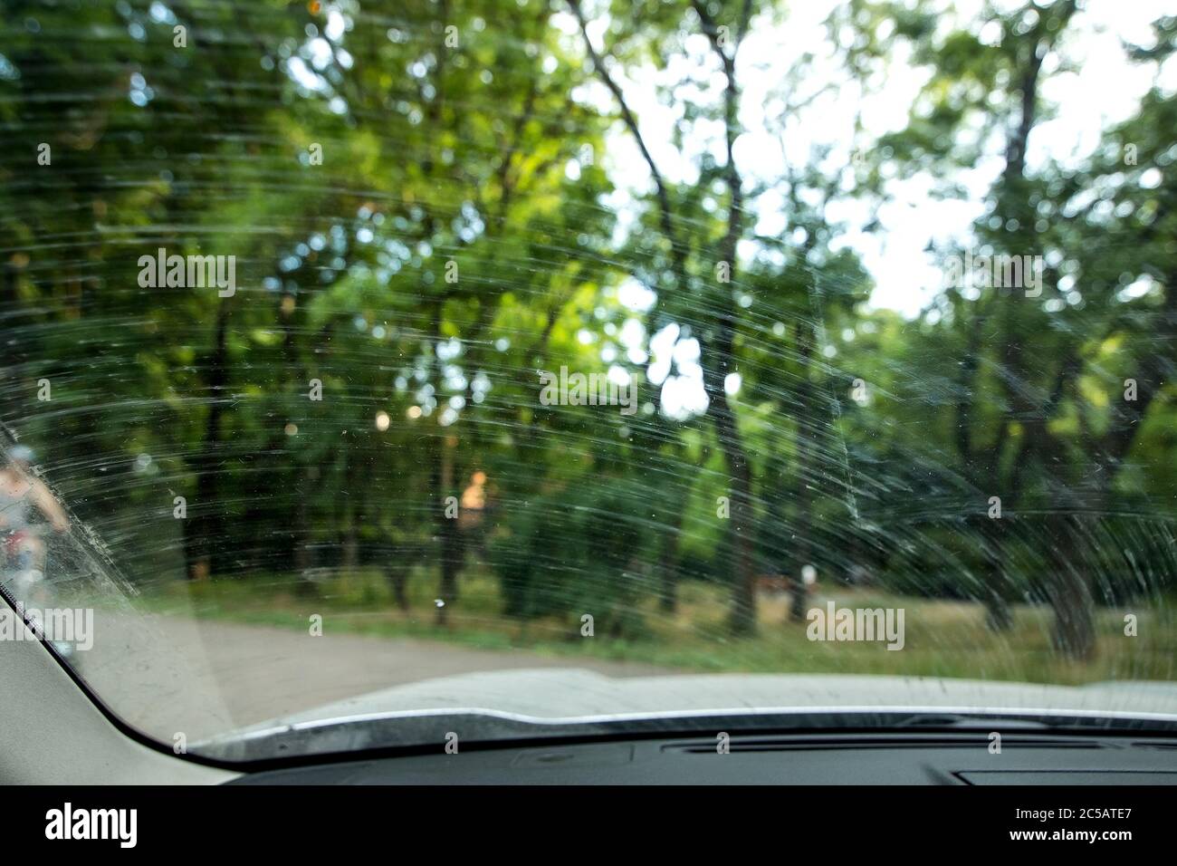 windshield in dirty stains from the swamp and dust smeared by the ...