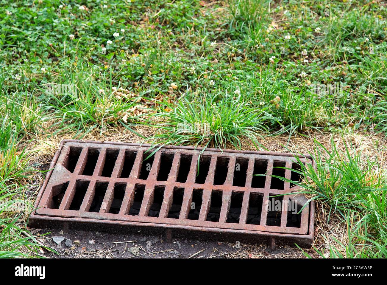 storm hatch sewage with a rusty grill overgrown with weeds in the park, close up of drainage system. Stock Photo