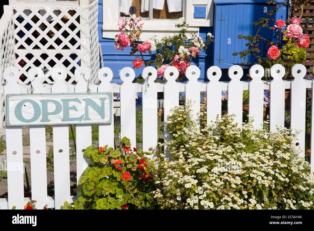 White picket fence & flowers in Moss Landing,Monterey County,California