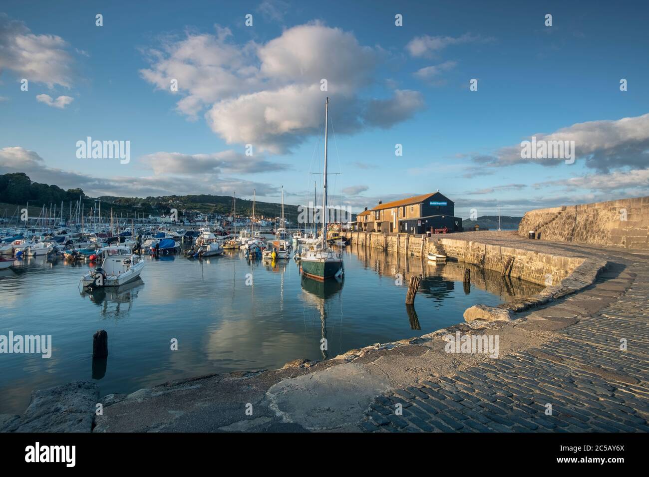Evening Light on Lyme Regis harbour Stock Photo