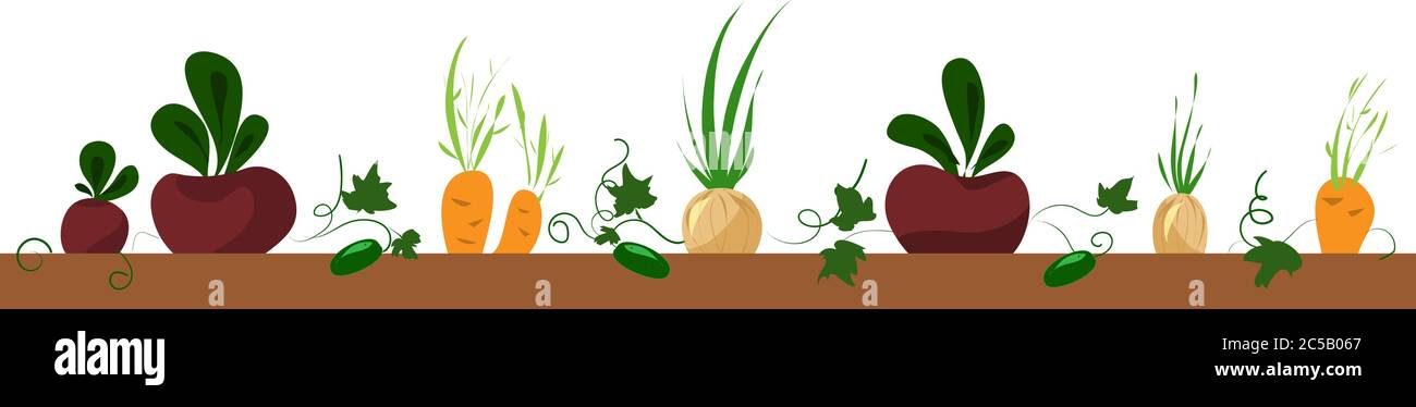 vegetable bed, frame with beet, carrot, onion Stock Vector