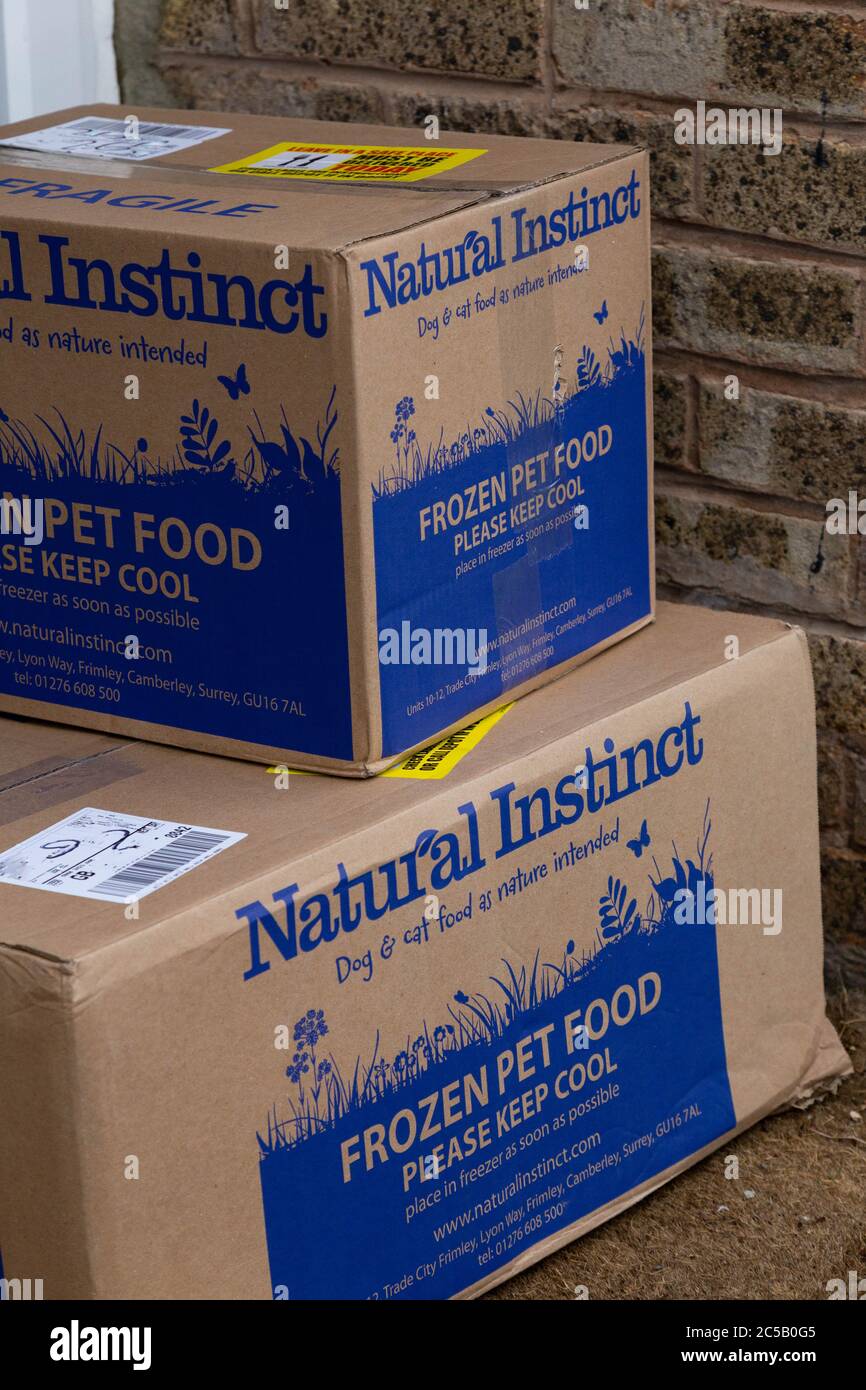 Bulk order dog clearance food