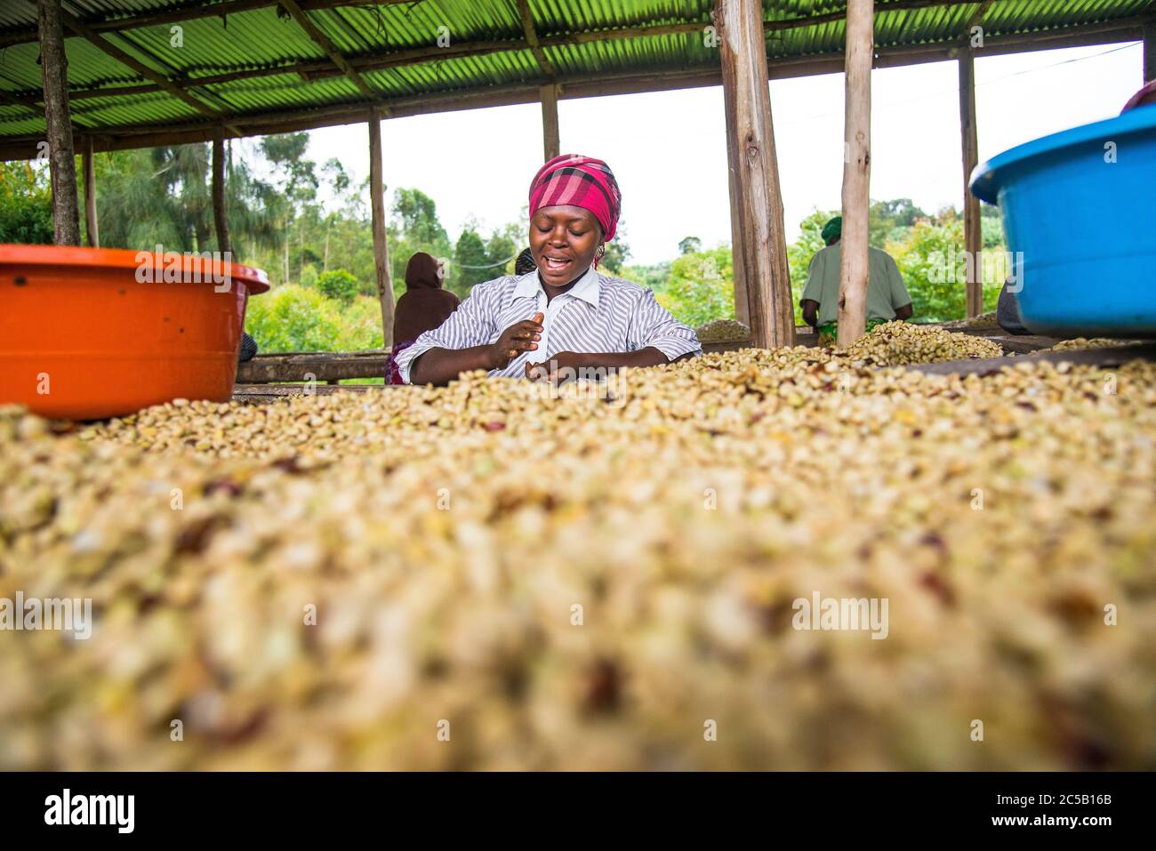 Visiting the Gashonga coffee cooperative in the Lake Kivu region of Rwanda Stock Photo