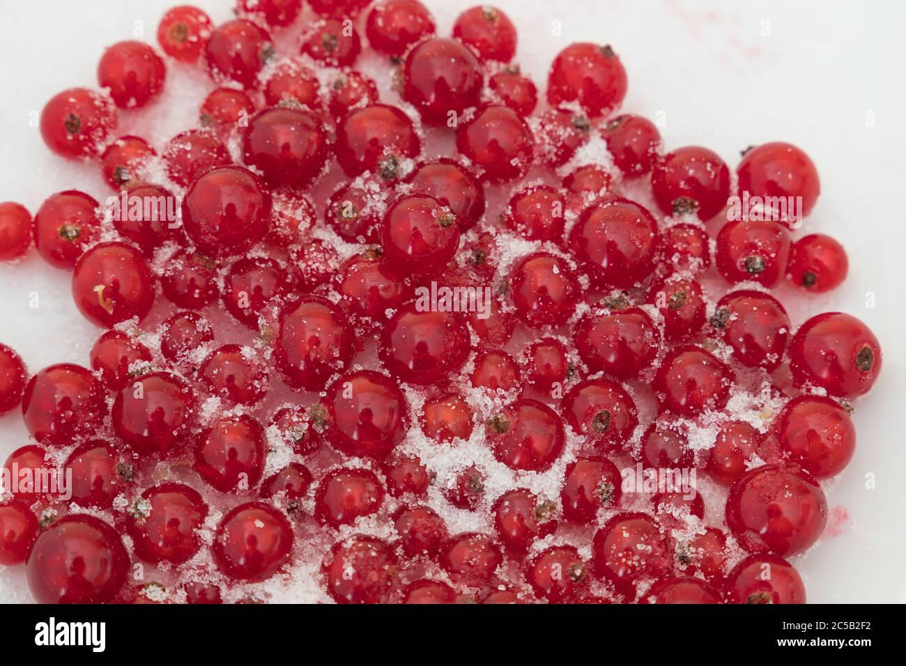a mass of red currants with sugar on a white plate Stock Photo
