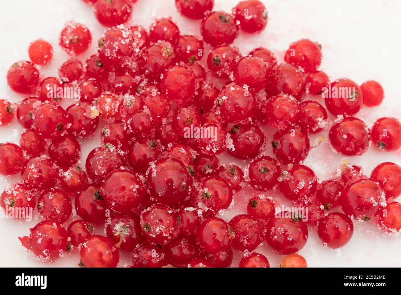 a mass of sugared red currants on a white plate Stock Photo