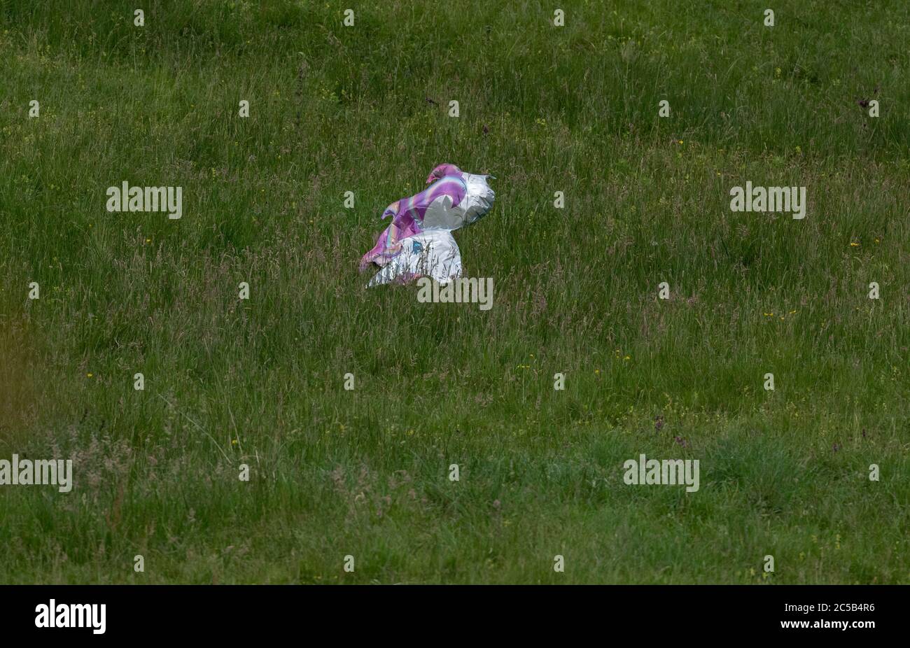 A deflated helium balloon in the shape of a unicorn has landed in a field. Balloon litter. Stock Photo
