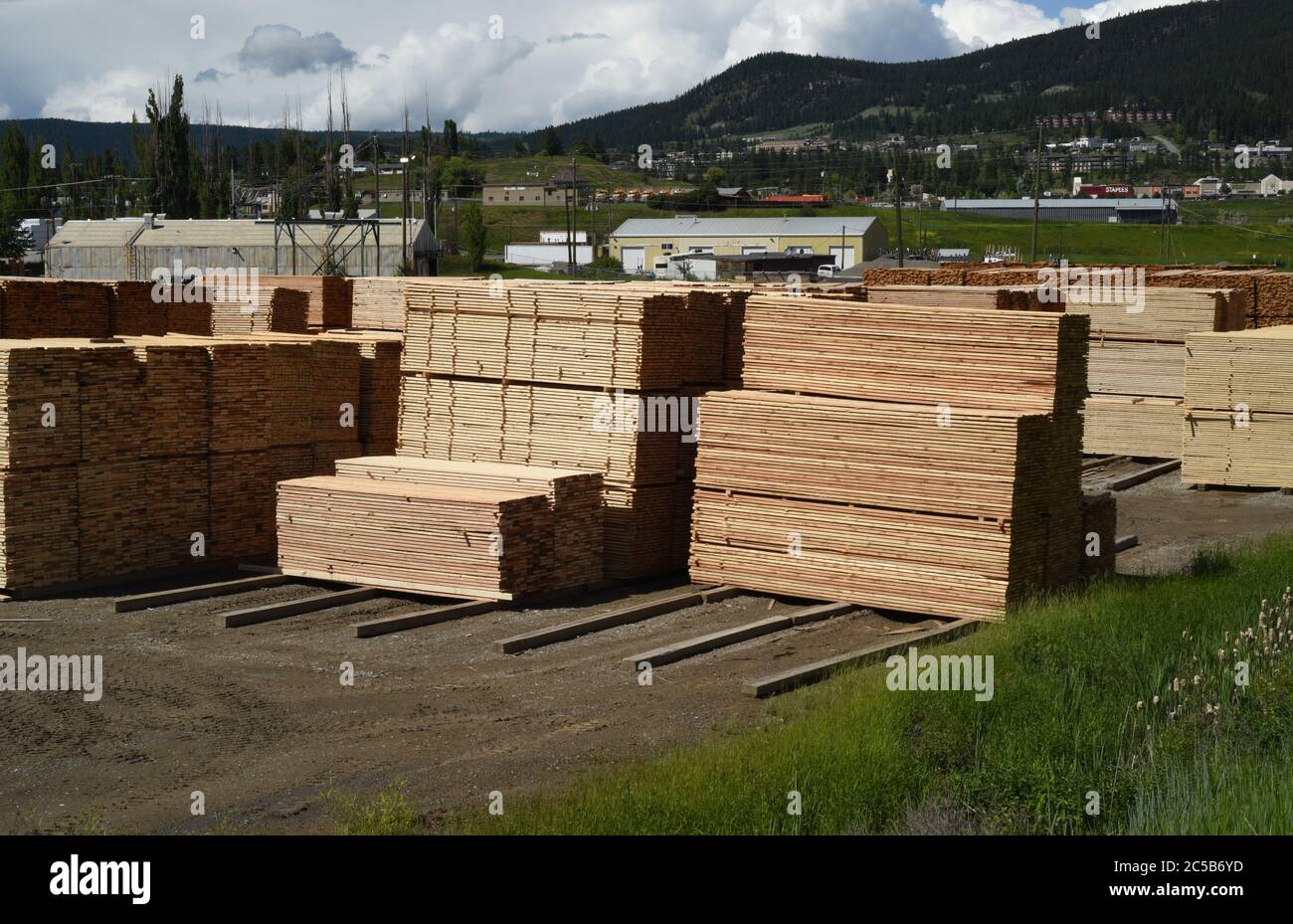 Piles of lumber sit stacked in the yard at Tolko Industries’ Lakeview