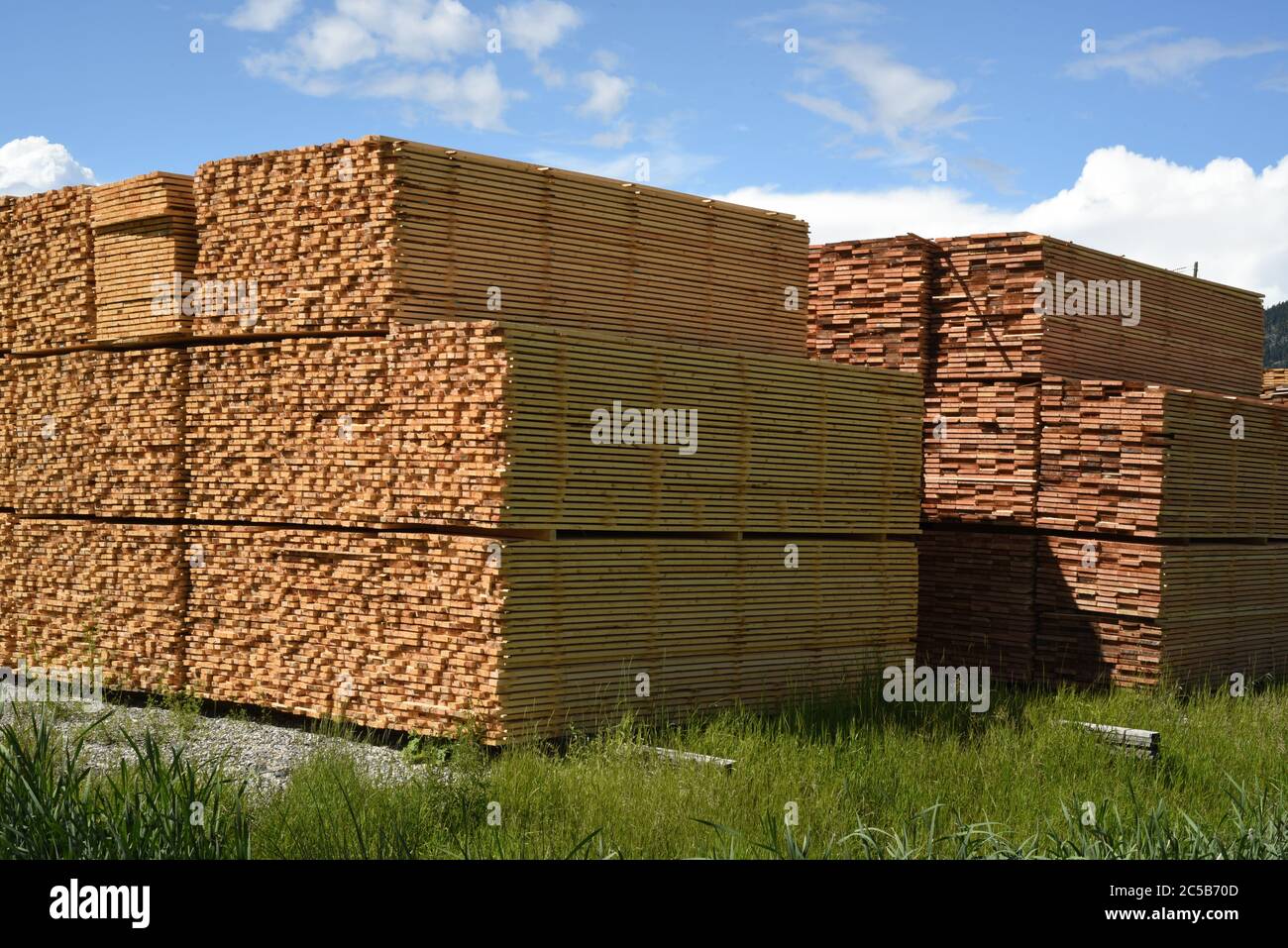 Piles of lumber sit stacked in the yard at Tolko Industries’ Lakeview