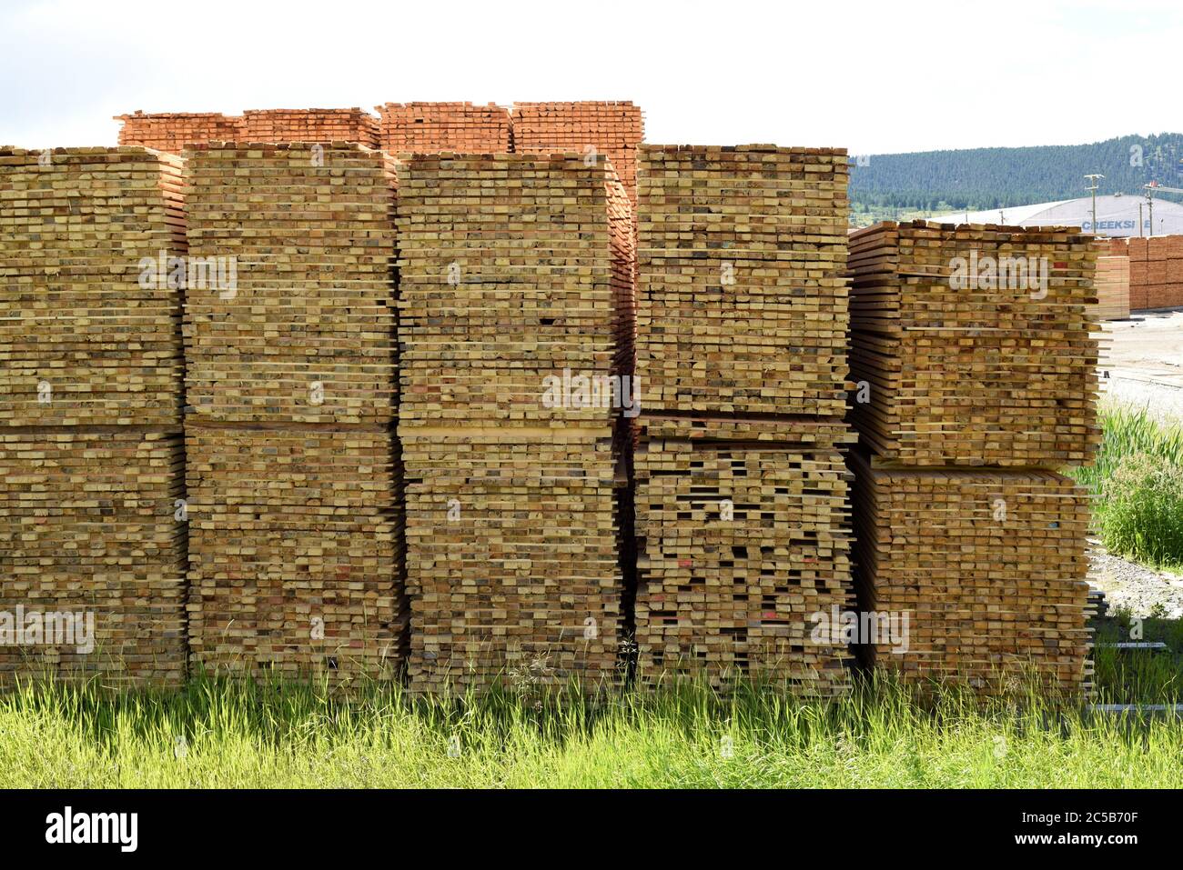 Piles of lumber boards sit stacked in the yard at Tolko Industries’ Lakeview division in Williams Lake, British Columbia, Canada. Stock Photo