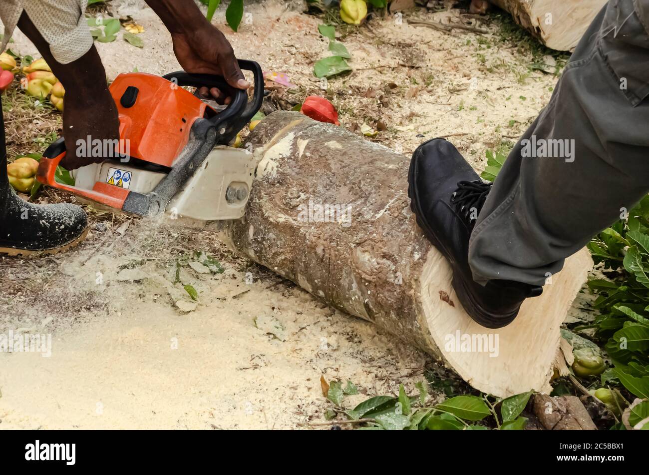 Supporting Wood While Cutting Stock Photo