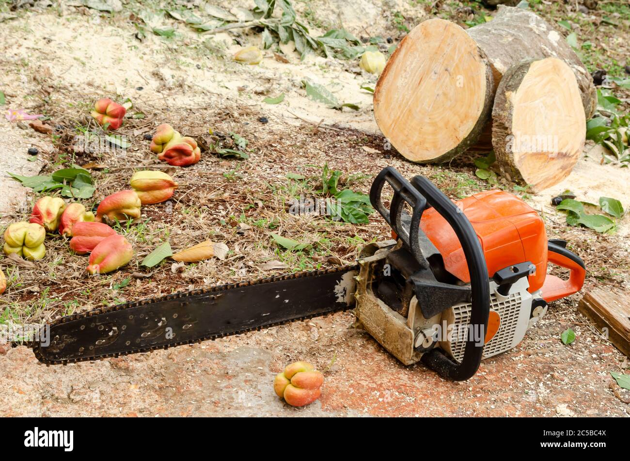 Chainsaw At Rest Stock Photo