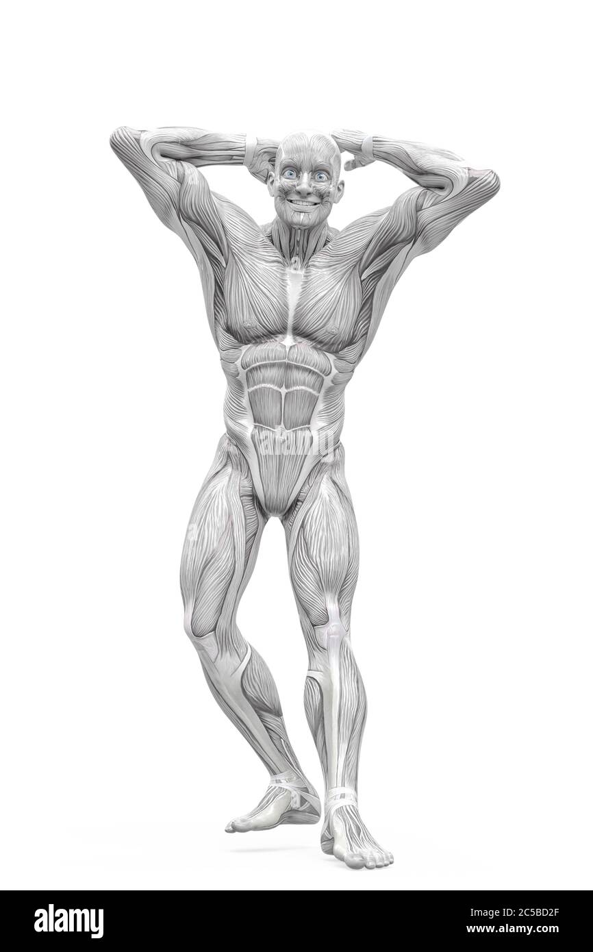 One Single Line Drawing of Young Energetic Model Man Bodybuilder Pose  Vector Illustration. Healthy Workout Concept Stock Illustration -  Illustration of mono, person: 201086508
