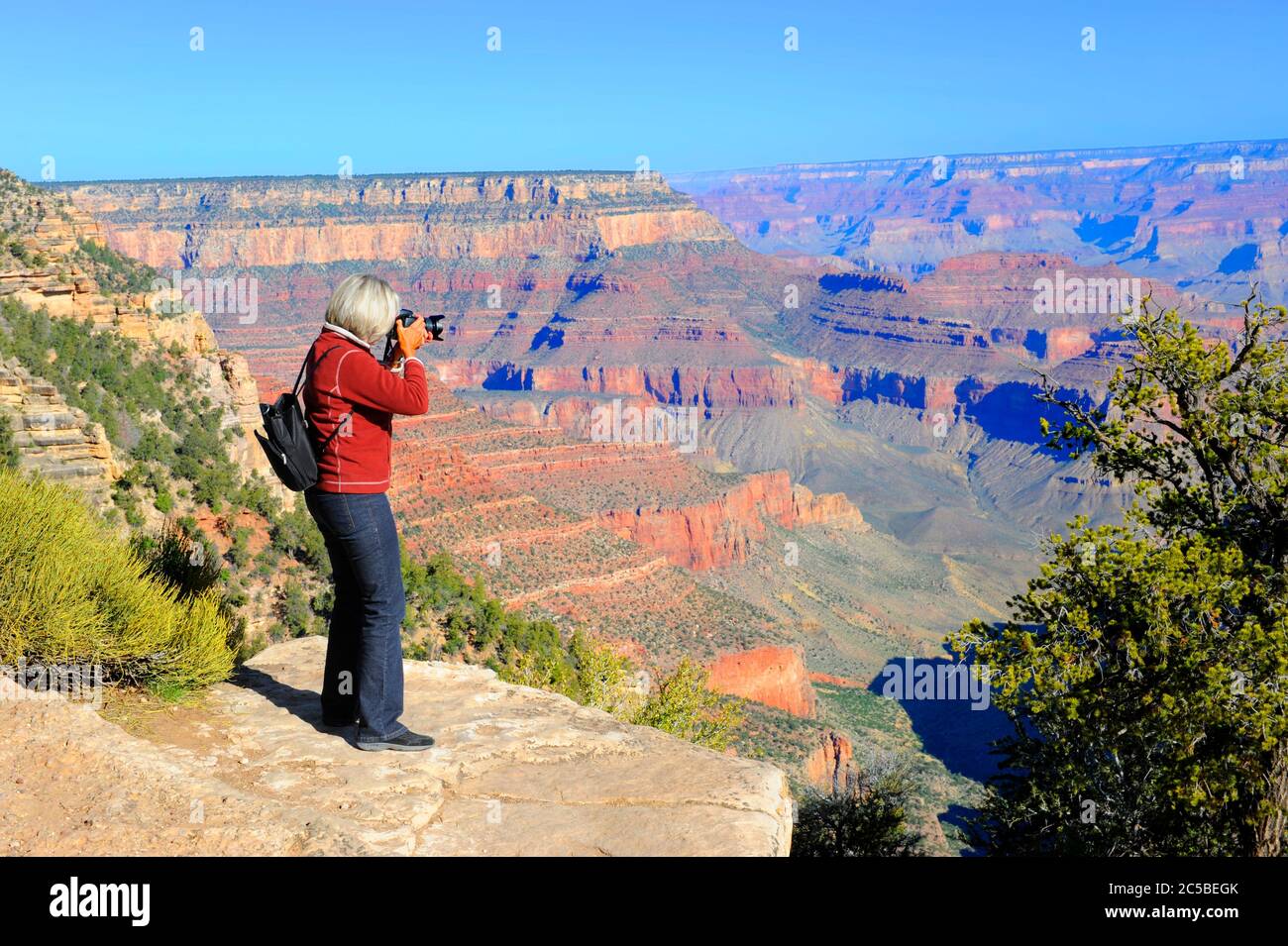 Female photographer taking picture at Grand Canyon National Park Stock ...