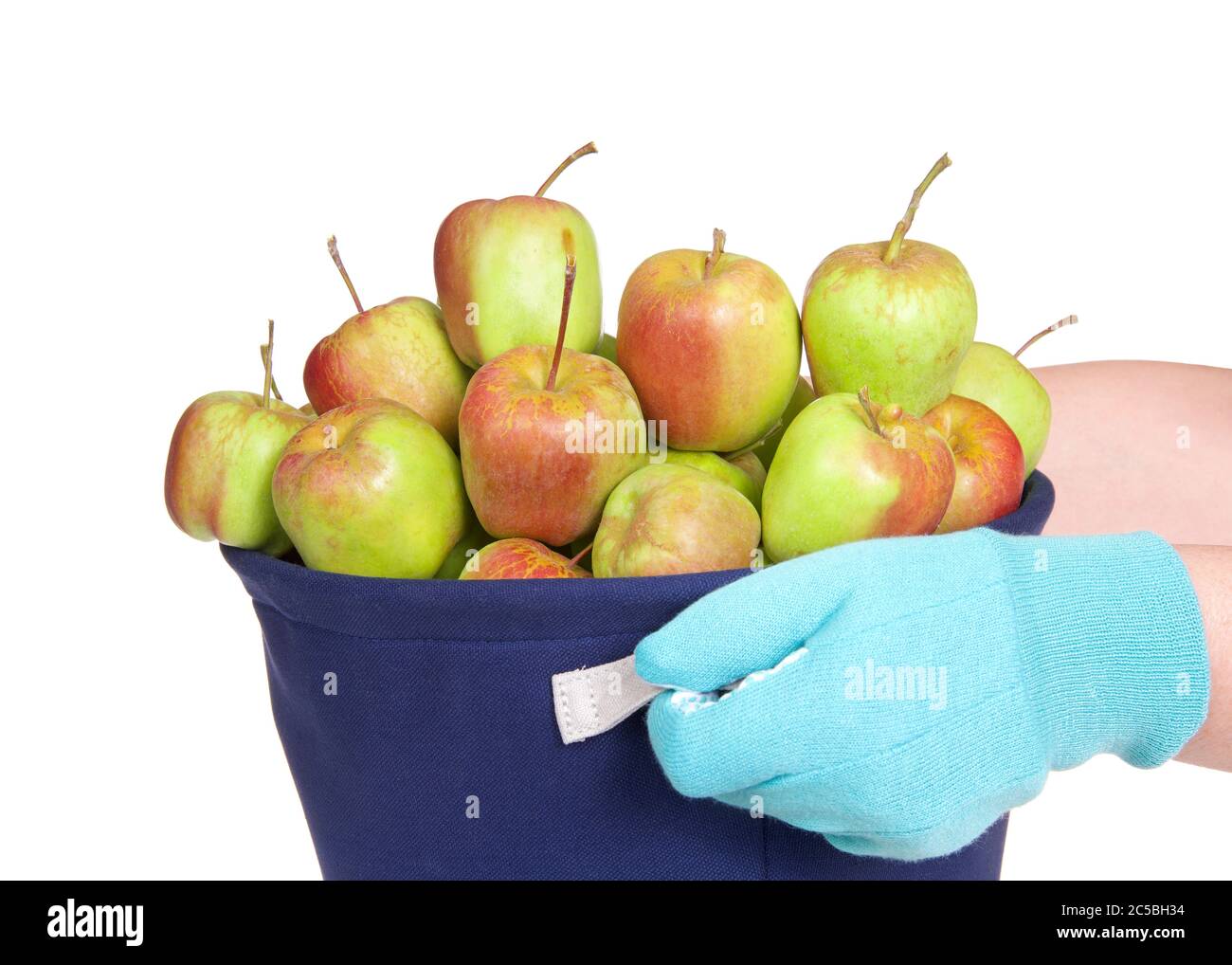 Bag apples apple picking orchard hi-res stock photography and images - Alamy