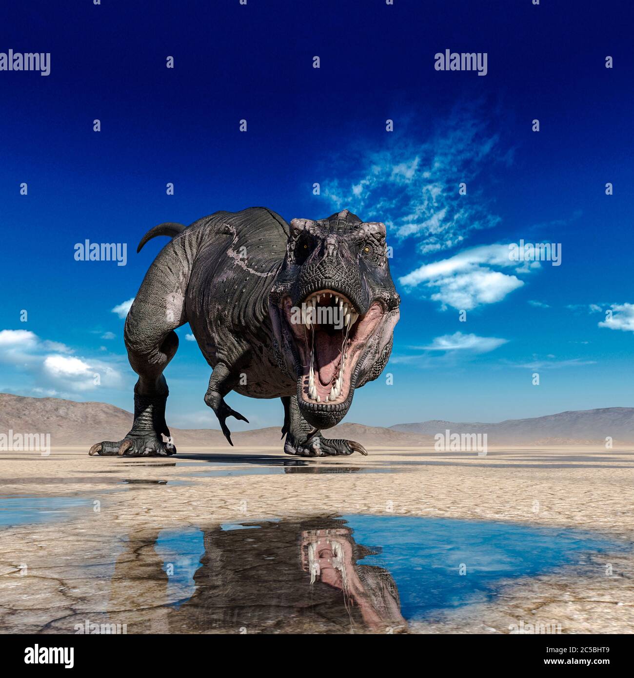 tyrannosaurus rex is drinking water on desert, 3d illustration Stock