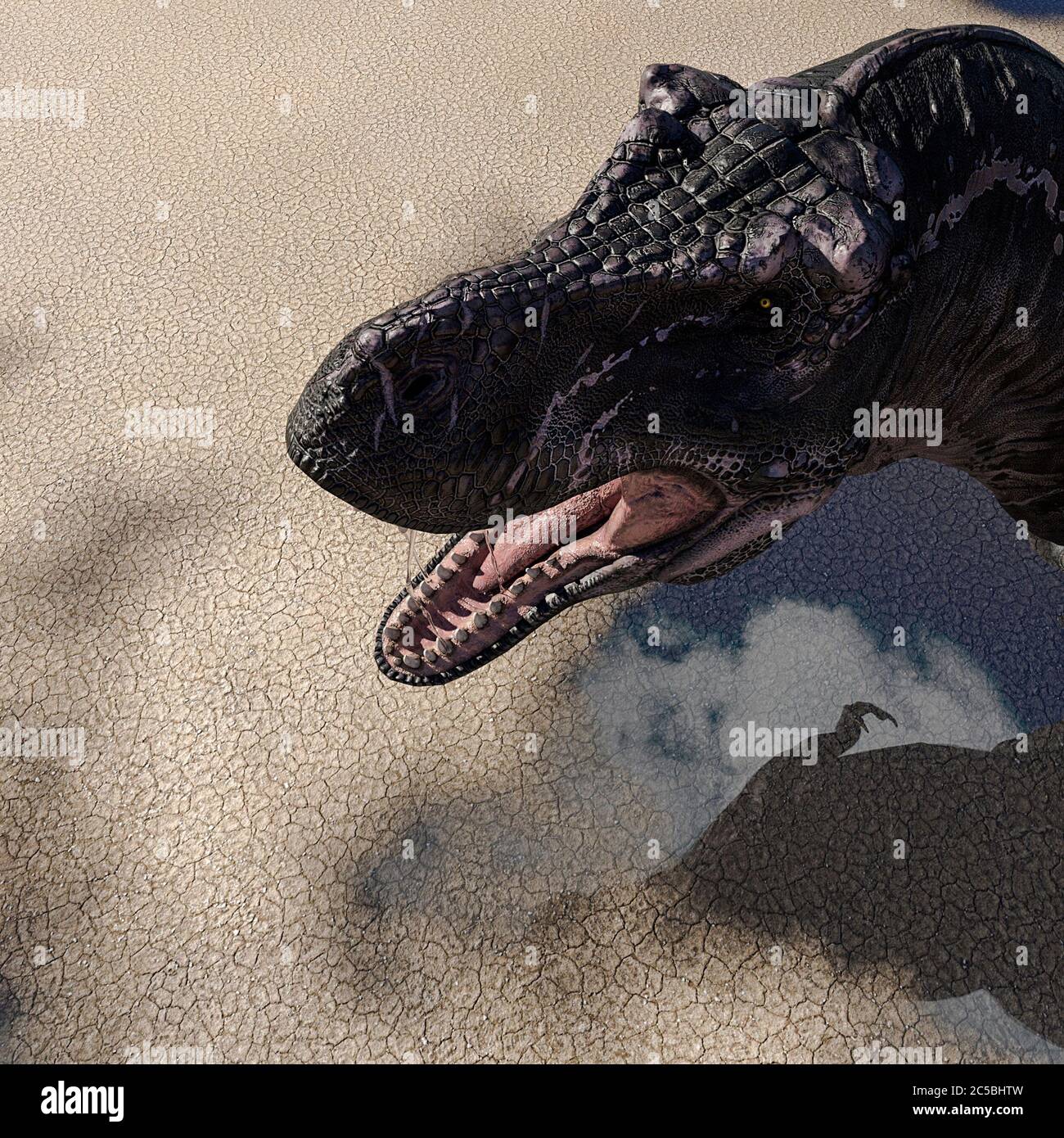 tyrannosaurus rex on desert topview close up, 3d illustration Stock